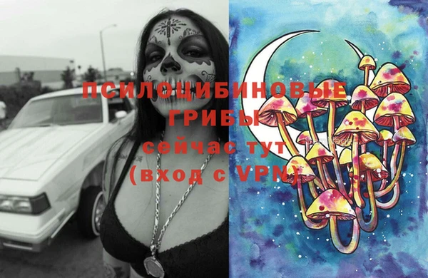 тгк Абдулино